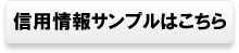 信用情報サンプル